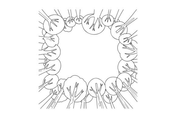 Circular Tree Canopy View: Graphics & Coloring Pages Amp Review