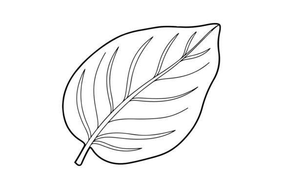 Simple Leaf Drawing Graphics & Coloring Pages Amp